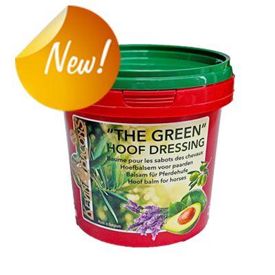 KEVIN BACON'S "THE GREEN"