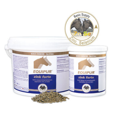 EQUIPUR - zink forte 1Kg.