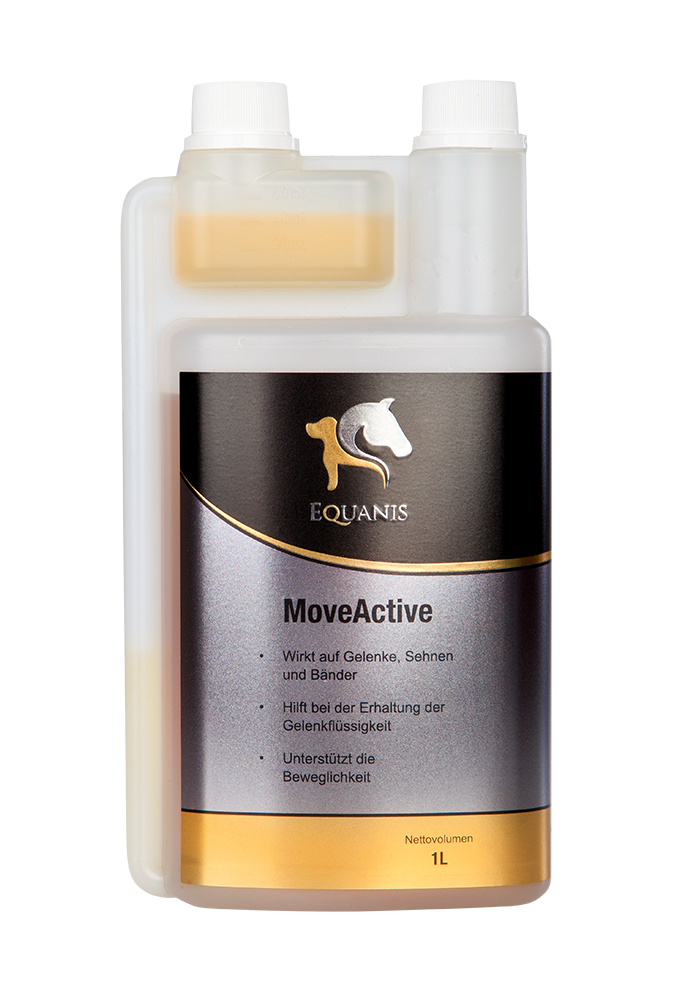 MoveActive – Flüssiges Glucosamin und MSM für Pferde bei Gelenkproblemen