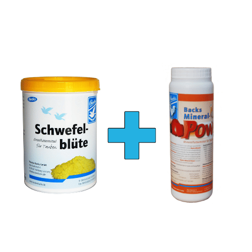 Backs Schwefelblüte 600g:+Backs Mineral-Power 1kg,