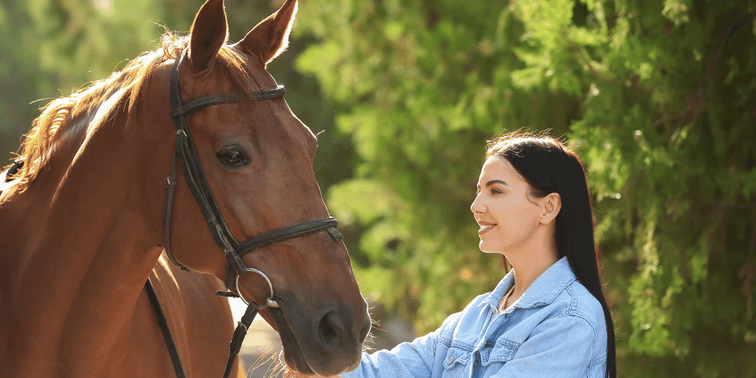 Welche Vitamine braucht mein Pferd? Pferdekrankheiten,vitamine,spurenelemente,aminosaeuren