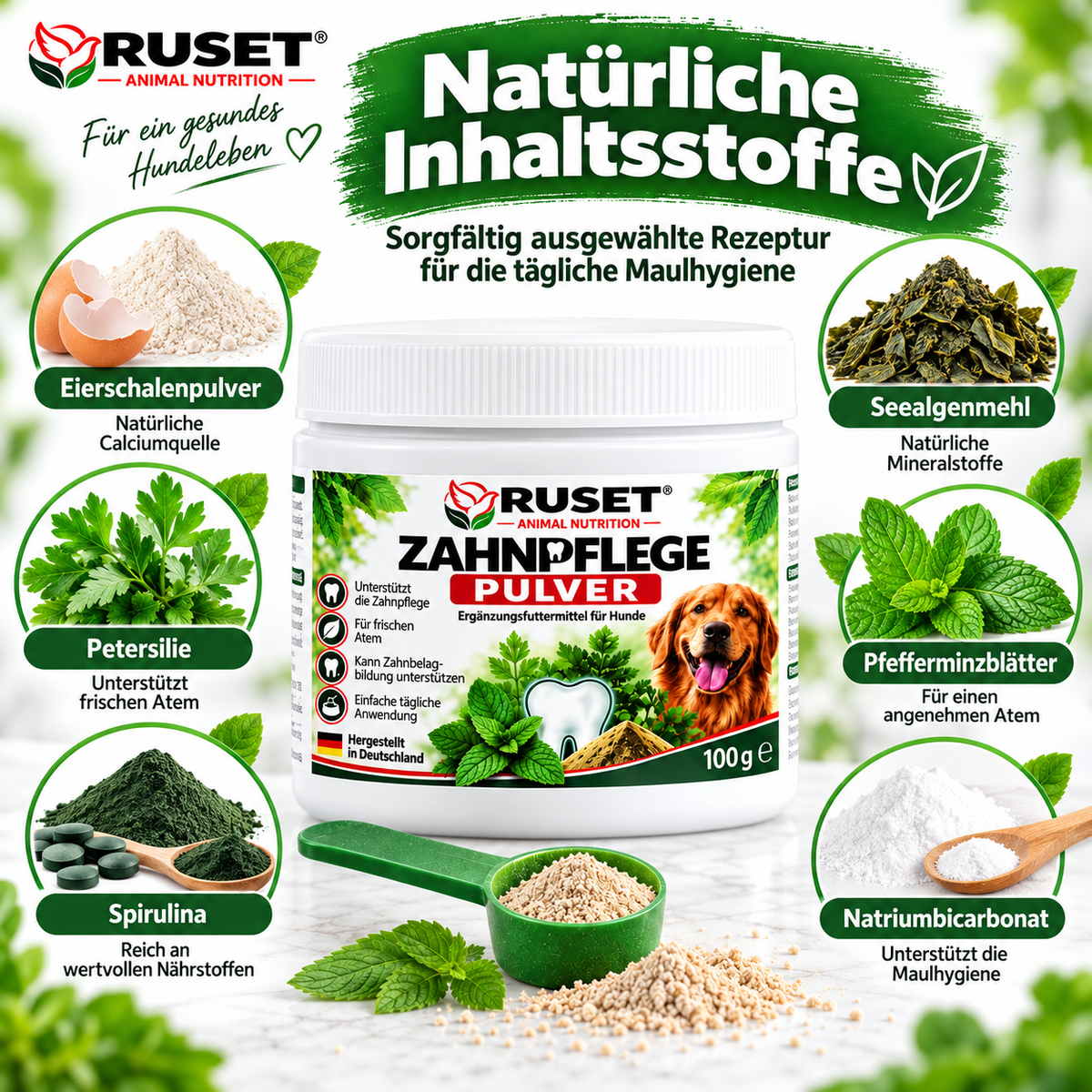 RUSET Zahnpflege Pulver 100 g – Zahnpflege für Hunde