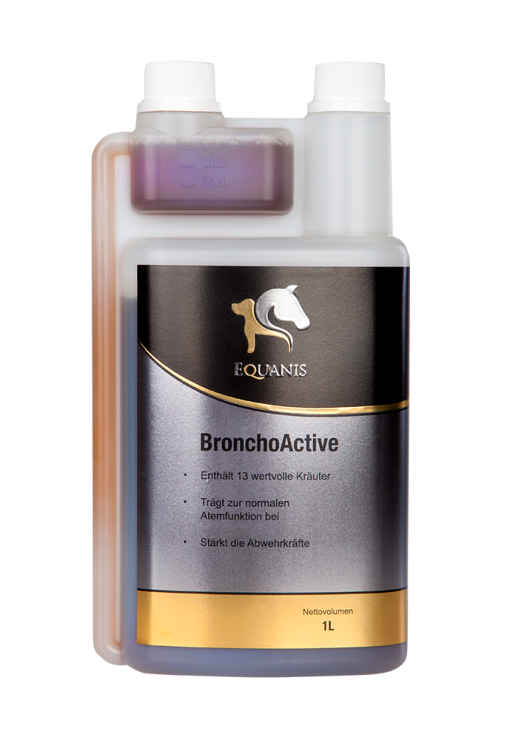 BronchoActive – Flüssige Kräuter für Pferde bei Husten und Schleim