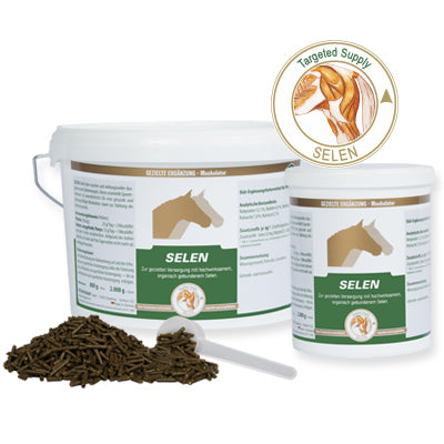 Diät-Ergänzungsfuttermittel für Pferde VETRIPHARM SELEN zur gezielten Versorgung mit hochwirksamem, organisch gebundenem Selen.